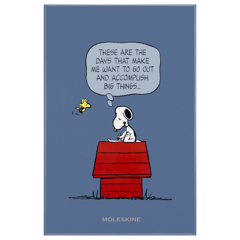 Caderno Peanuts Grande Pautado