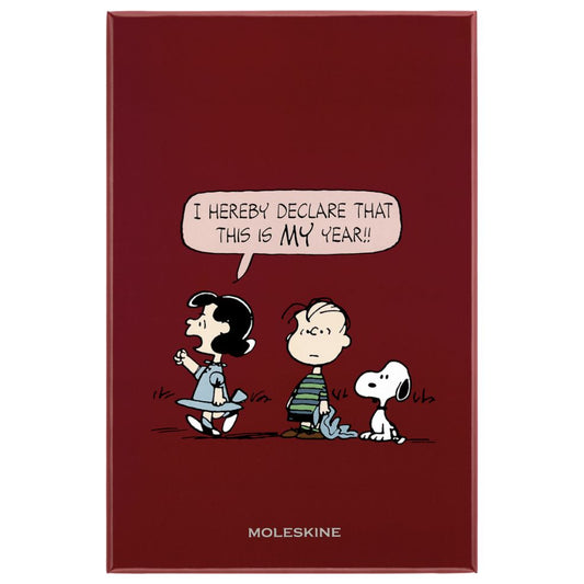 Caderno Peanuts Grande Liso