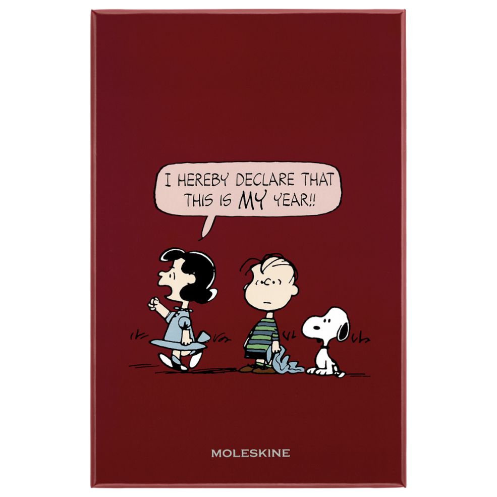Caderno Peanuts Grande Liso
