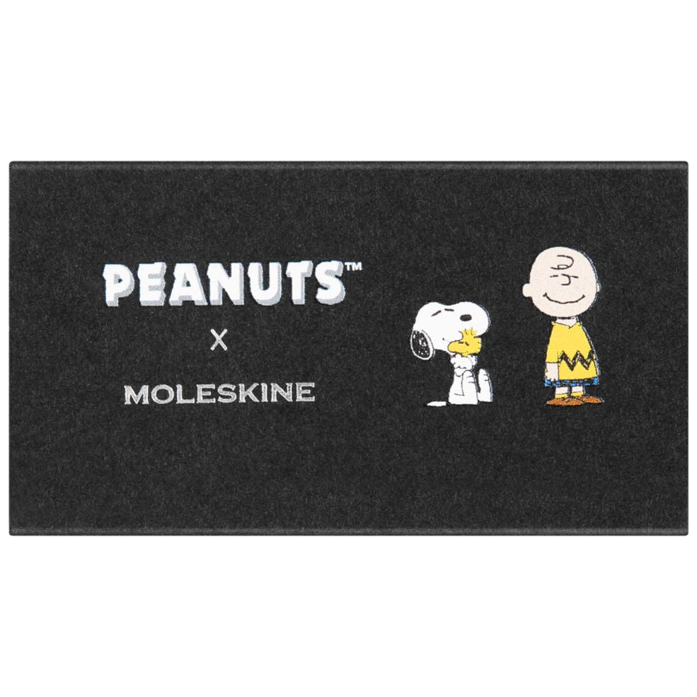 Peanuts - Caixa com dois Pins