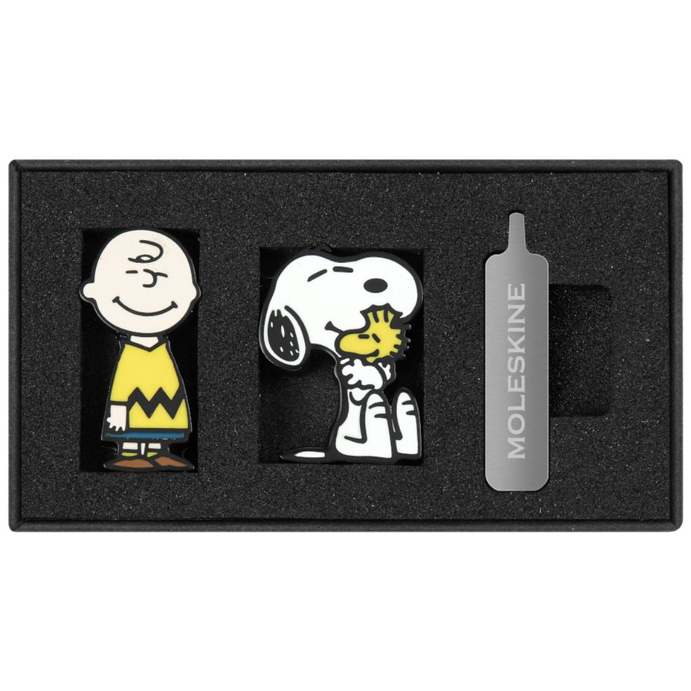 Peanuts - Caixa com dois Pins