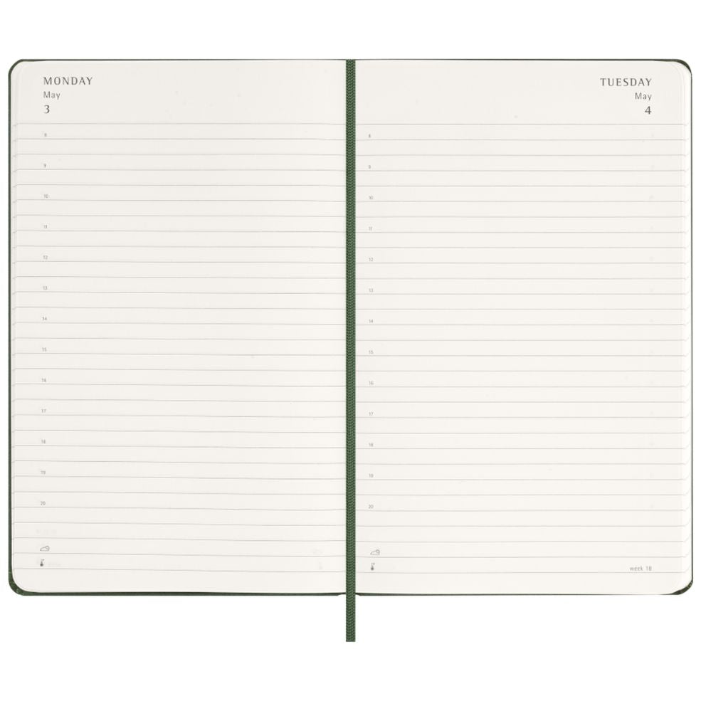 Agenda Diária 12 Meses 2027 - Verde Mirtilo
