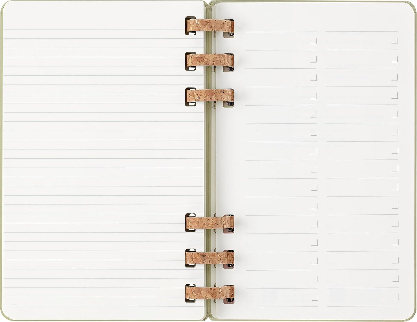Agenda Espiral Académica 12 Meses (jul 2025/jun 2026) Kiwi - Capa Dura