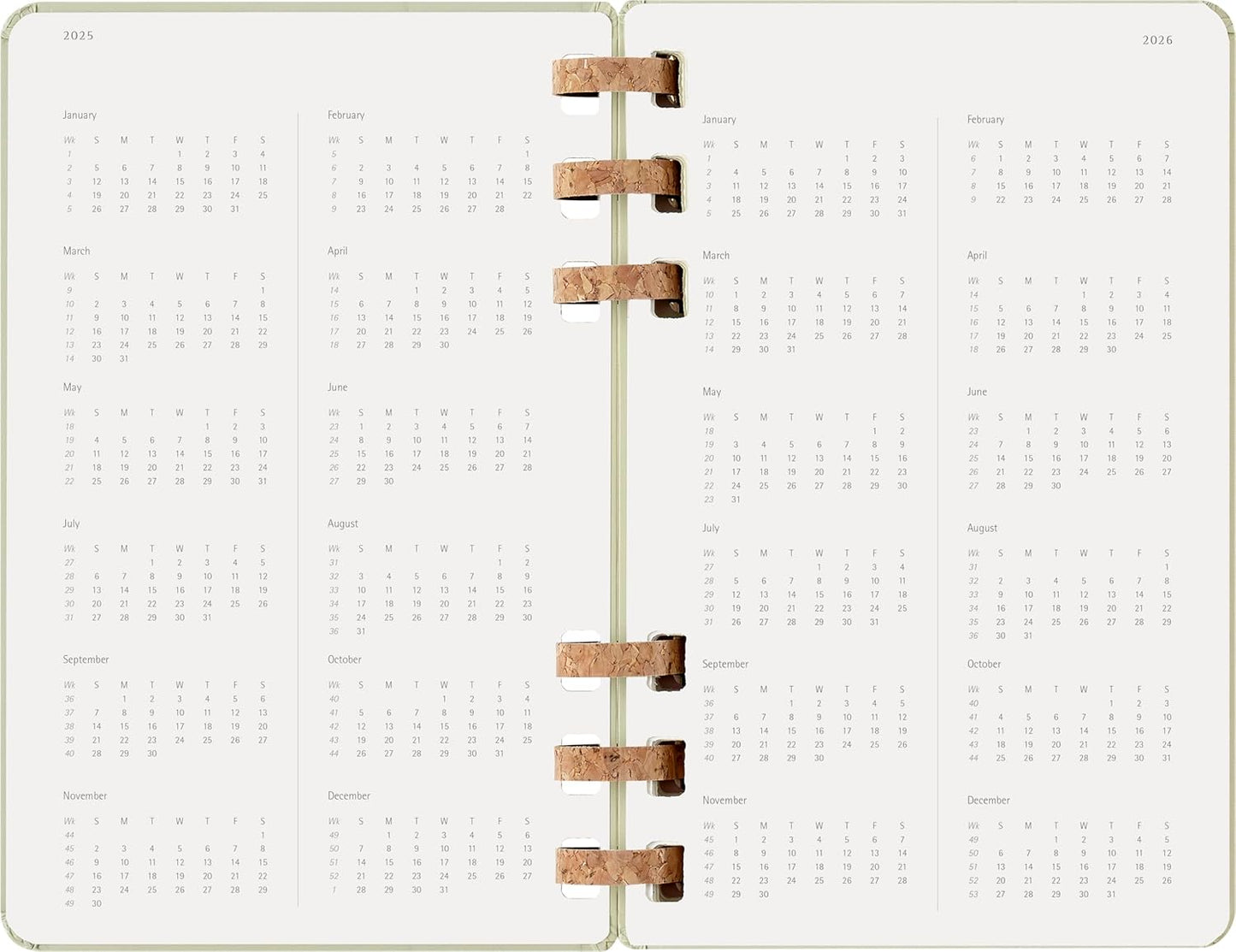 Agenda Espiral Académica 12 Meses (jul 2025/jun 2026) Kiwi - Capa Dura