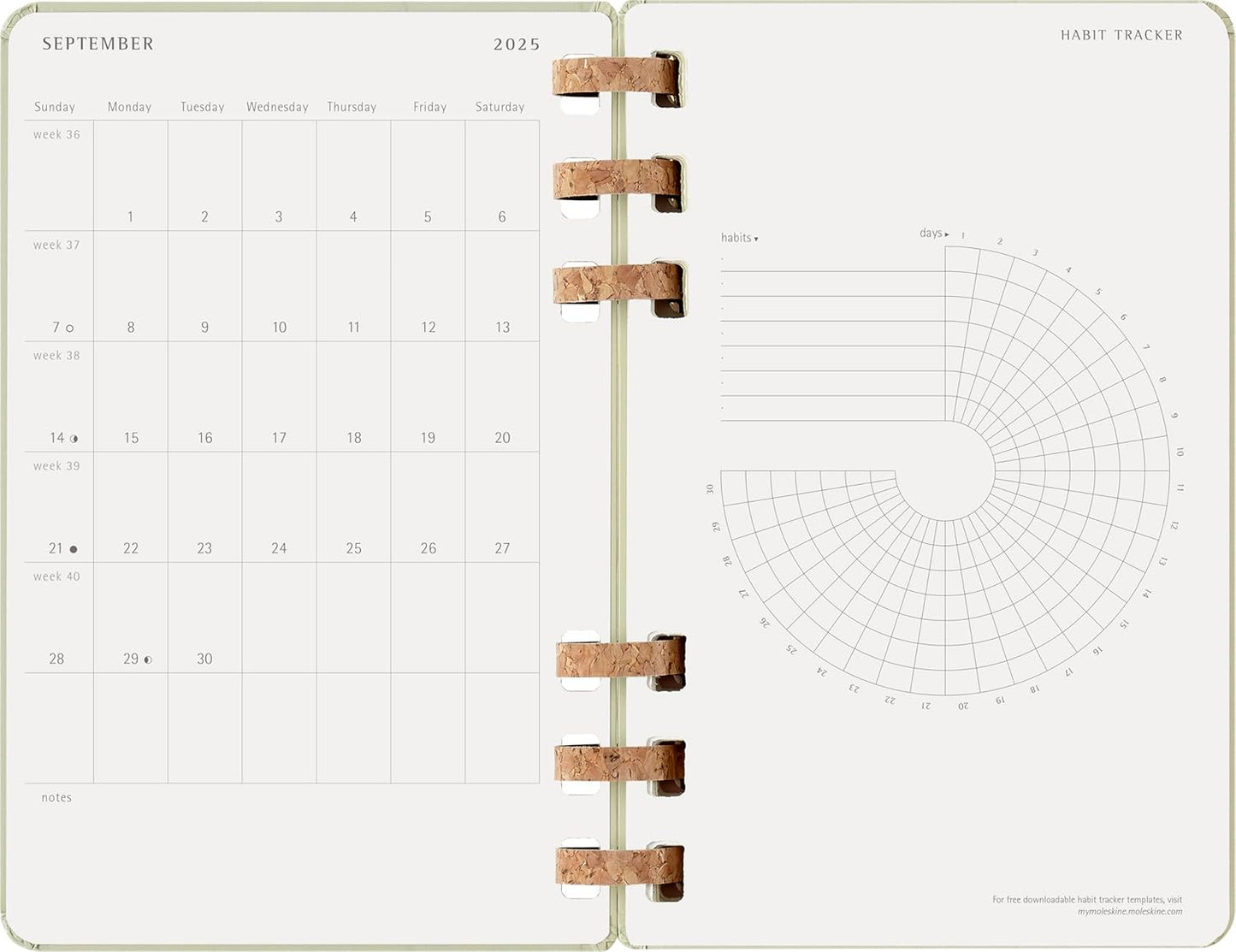 Agenda Espiral Académica 12 Meses (jul 2025/jun 2026) Kiwi - Capa Dura