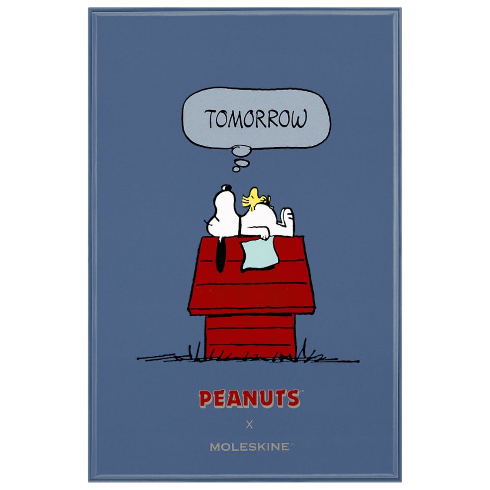 Caderno Peanuts Grande Pautado
