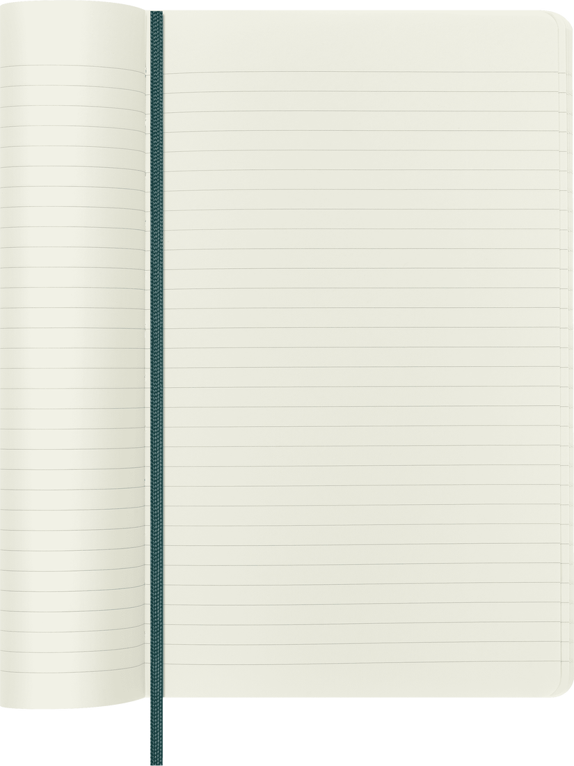 Colecção Precious & Ethical - Caderno Soft Pautado Verde com efeito Python