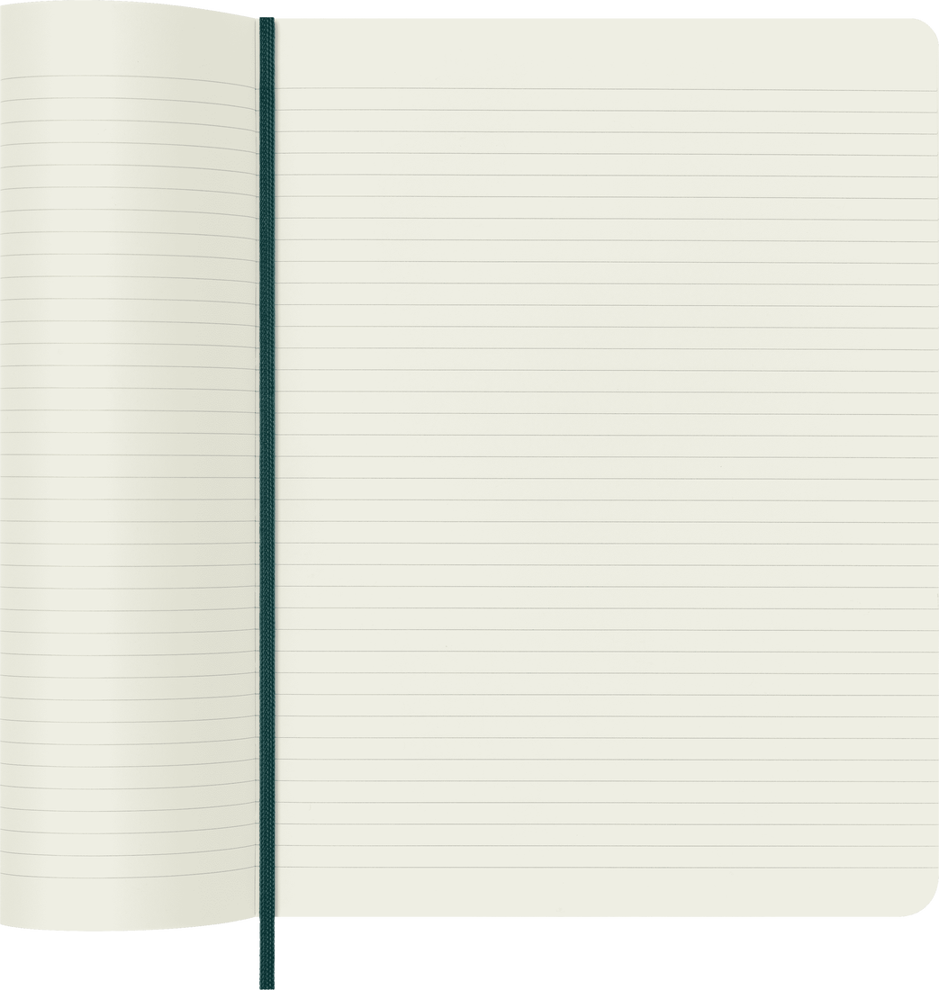 Colecção Precious & Ethical - Caderno Soft Pautado Verde com efeito Python