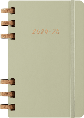 Agenda Académica 12 Meses (JULHO/2024 a JUNHO/2025) Kiwi - Capa Dura