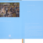 Caderno Impressionismo, Pautado - Auguste Renoir