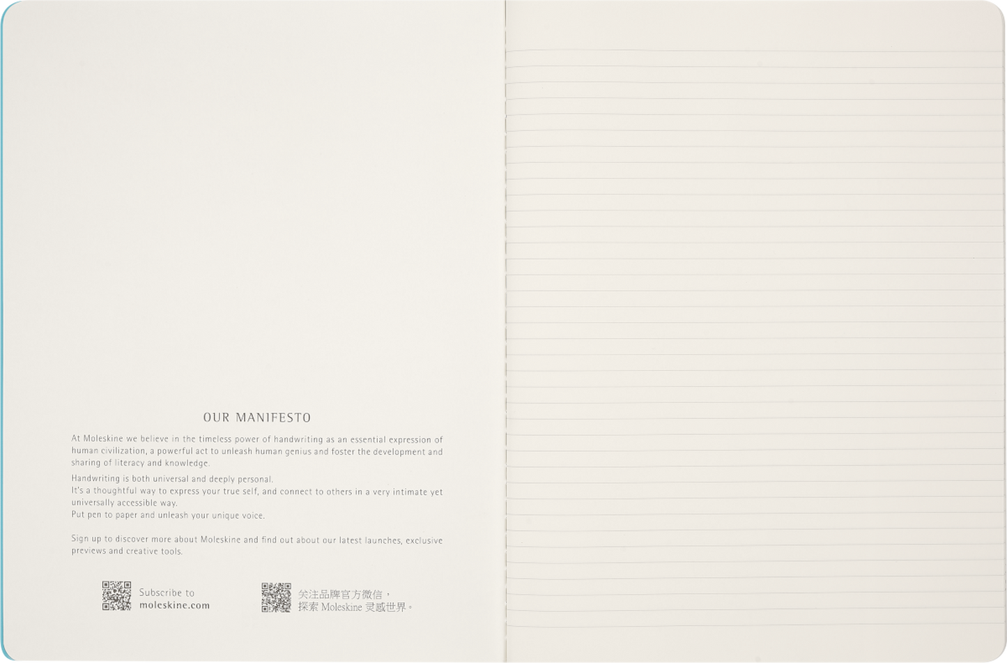 Cahier Impressionismo XL - Liso