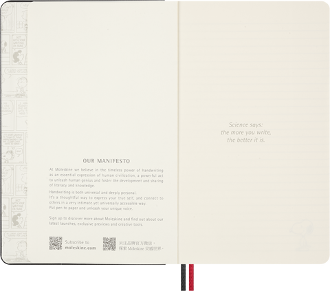 Caderno Peanuts Snoopy - Pautado Grande